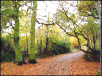 Walking in Berkshire