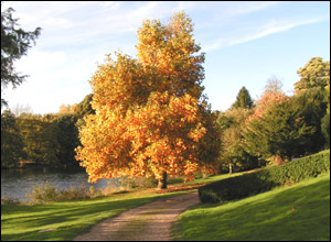 Walking in Berkshire